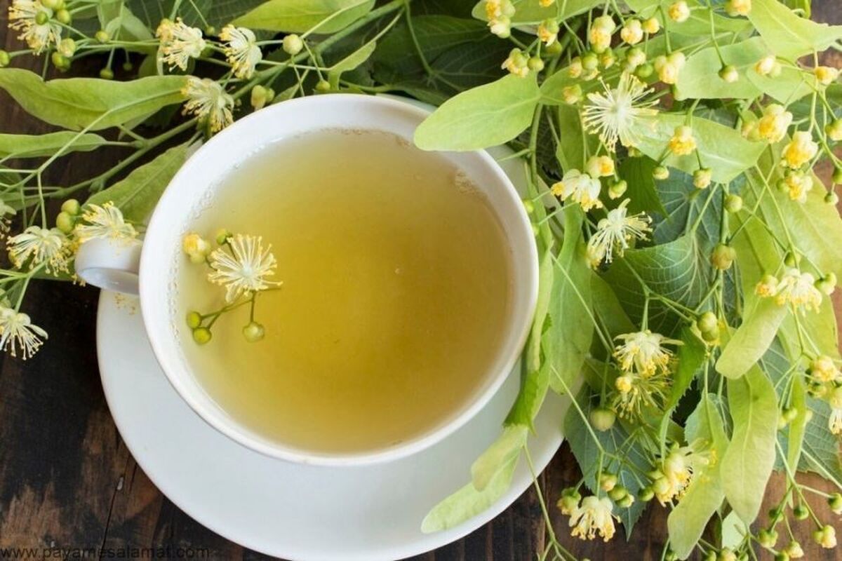 چای لیندن چیست و چه مزایایی دارد؟
