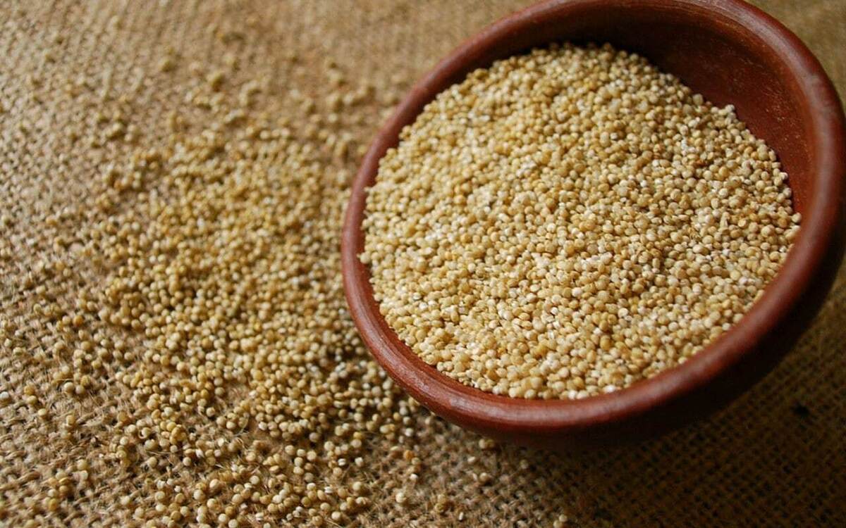 کینوا، منبع خوبی از پروتئین