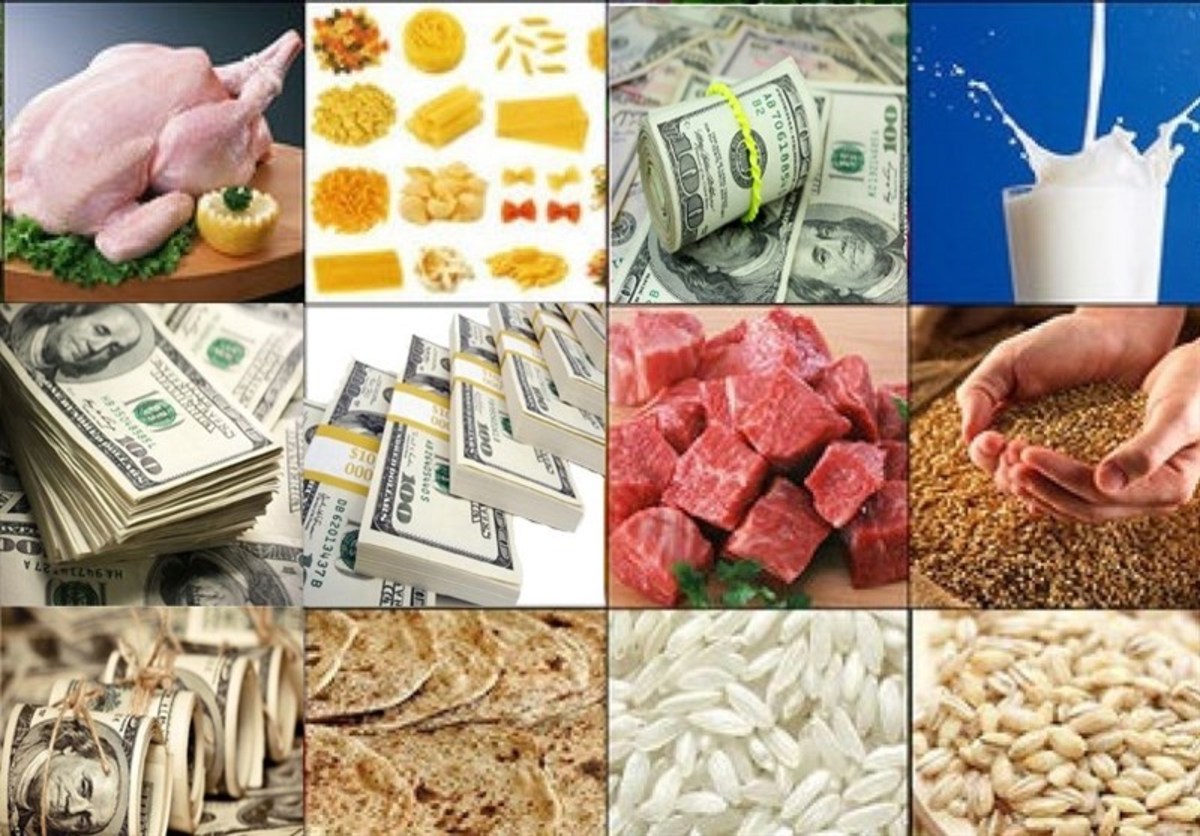 وزارت اقتصاد: حذف ارز ترجیحی یک الزام عقلی بود؛ تمام اقتصاددانان تاییدش کردند