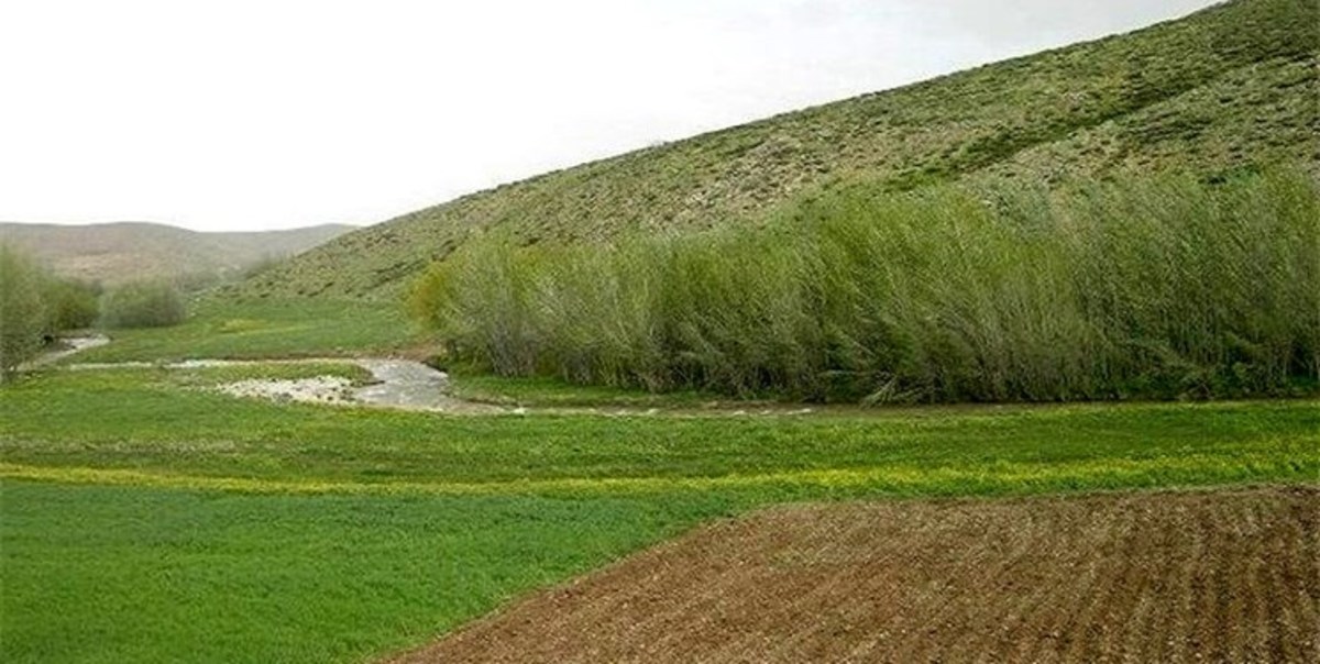 هشدار جدی به متخلفان تغییر کاربری اراضی کشاورزی در زنجان/ آماده باش یگان حفاظت در تعطیلات نوروزی