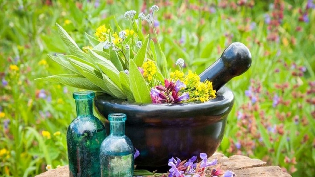 بهار امسال را با نکات کاربردی طب سنتی سپری کنید