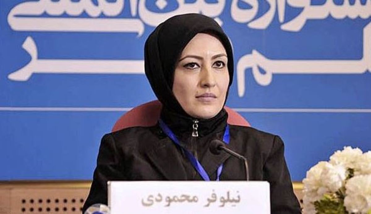 نیلوفر محمودی: کارگردانی بدون تخصص بدون خروجی می‌شود