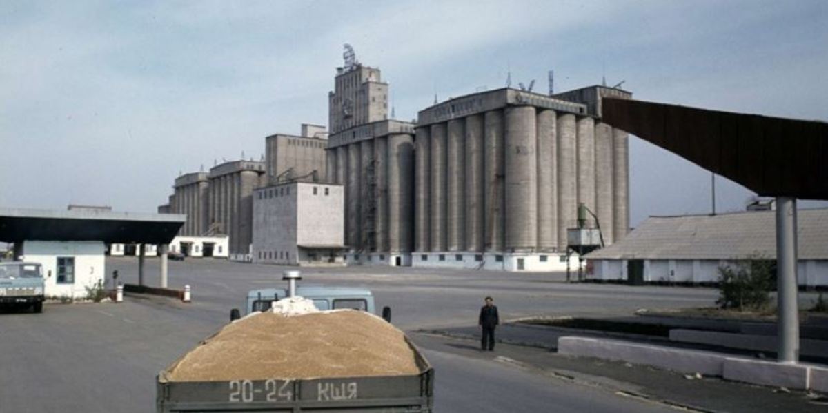 قزاقستان واردات گندم را تا ۶ ماه ممنوع کرد