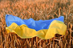 اعتراض اروپای شرقی به افزایش عرضه غلات اوکراین
