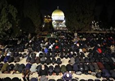 مشارکت ۱۵۰ هزار نفری در نماز عشاء و نماز ماه رمضان در مسجد الاقصی