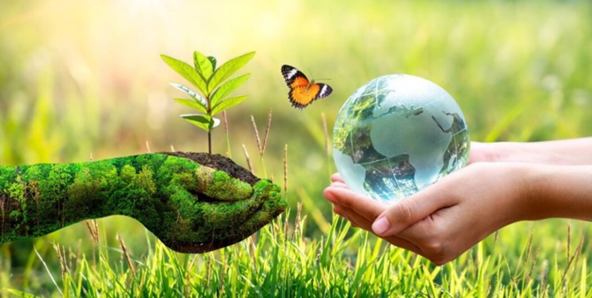 مهربانی در روز «سیزده‌بدر»؛ جز «ردپا» چیزی در طبیعت باقی نگذاریم