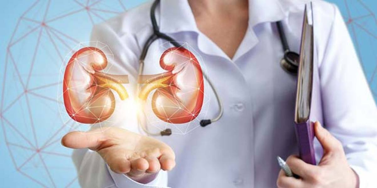 روزه‌داری چه اثری بر تعادل آب و املاح بدن دارد؟