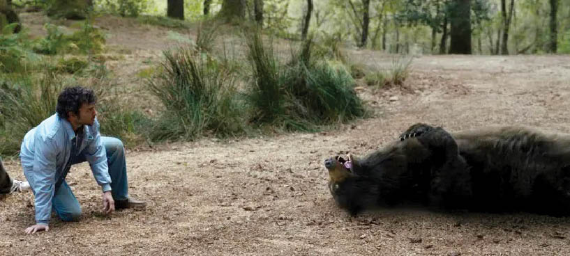 خرس کوکائینی ۲۰۲۳ روایت خرس کوکائین‌خوار سیاه‌بخت!