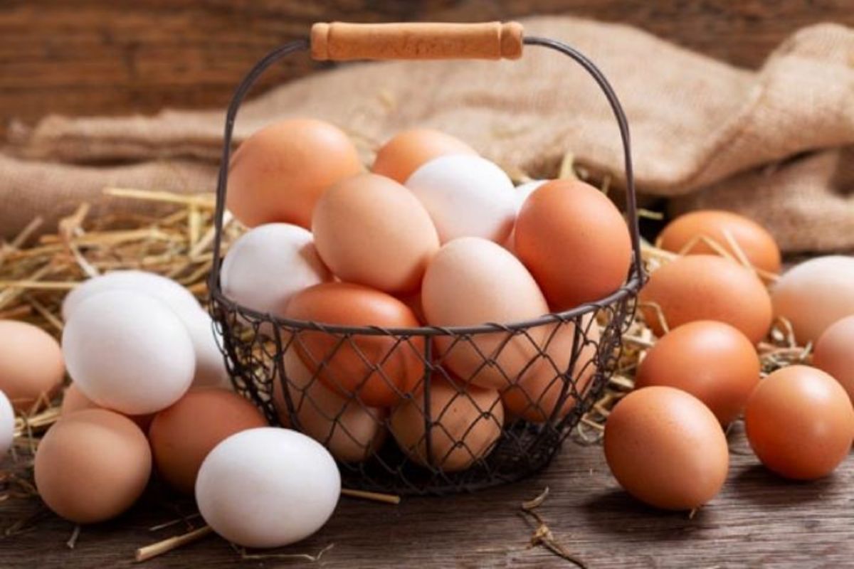 با شستن پوست تخم مرغ به باکتری‌ها مجال جولان میدهید