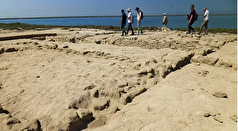 کشف ابزار‌های سنتی صید مروارید در جزیره‌ای در نزدیکی سواحل شمالی امارات عربی