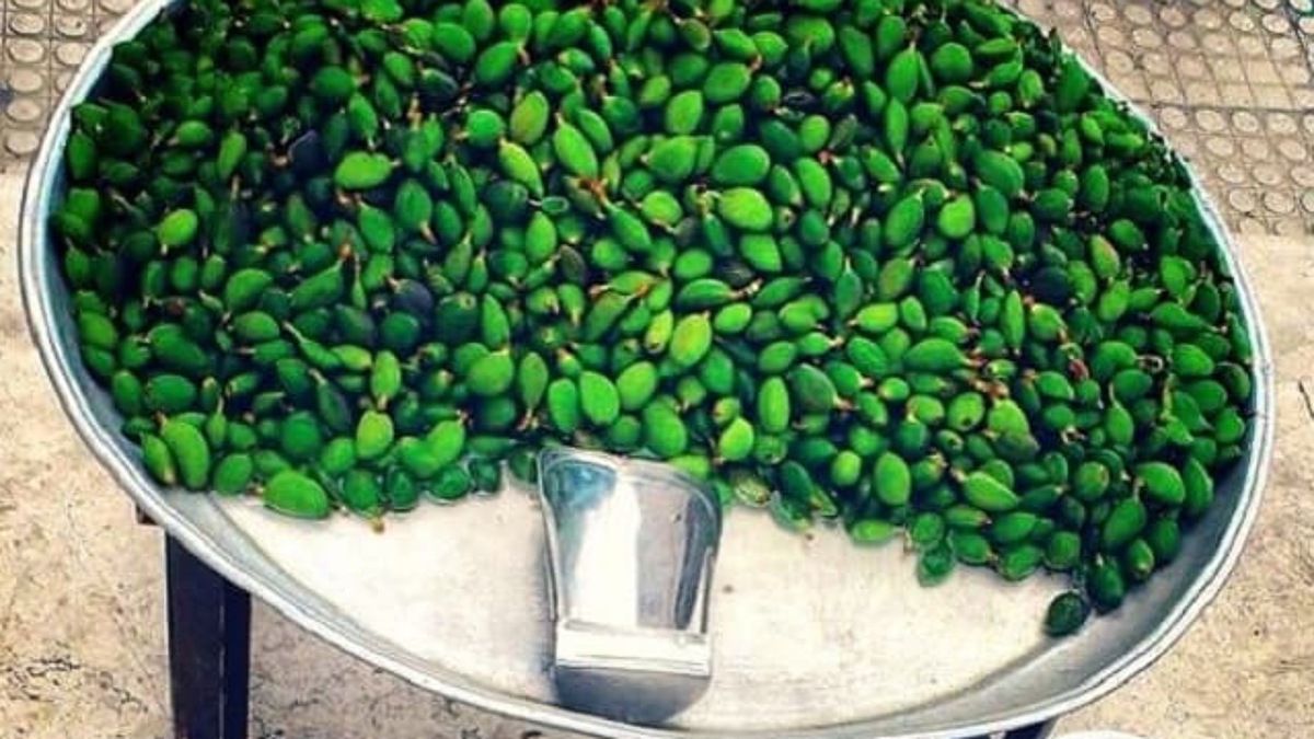میوه کال و نارس نخورید