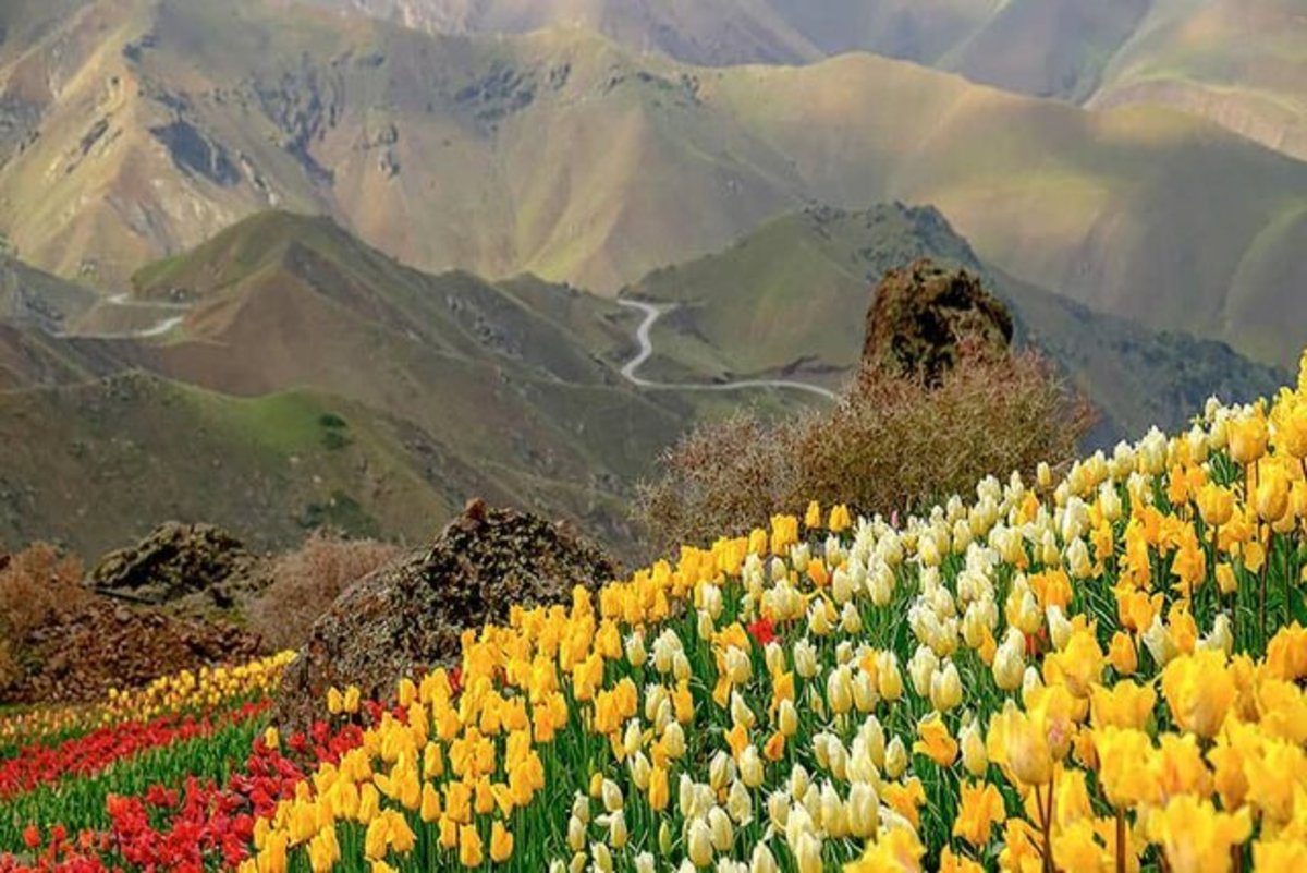 دعوت از گردشگران برای گذران اوقات در البرز