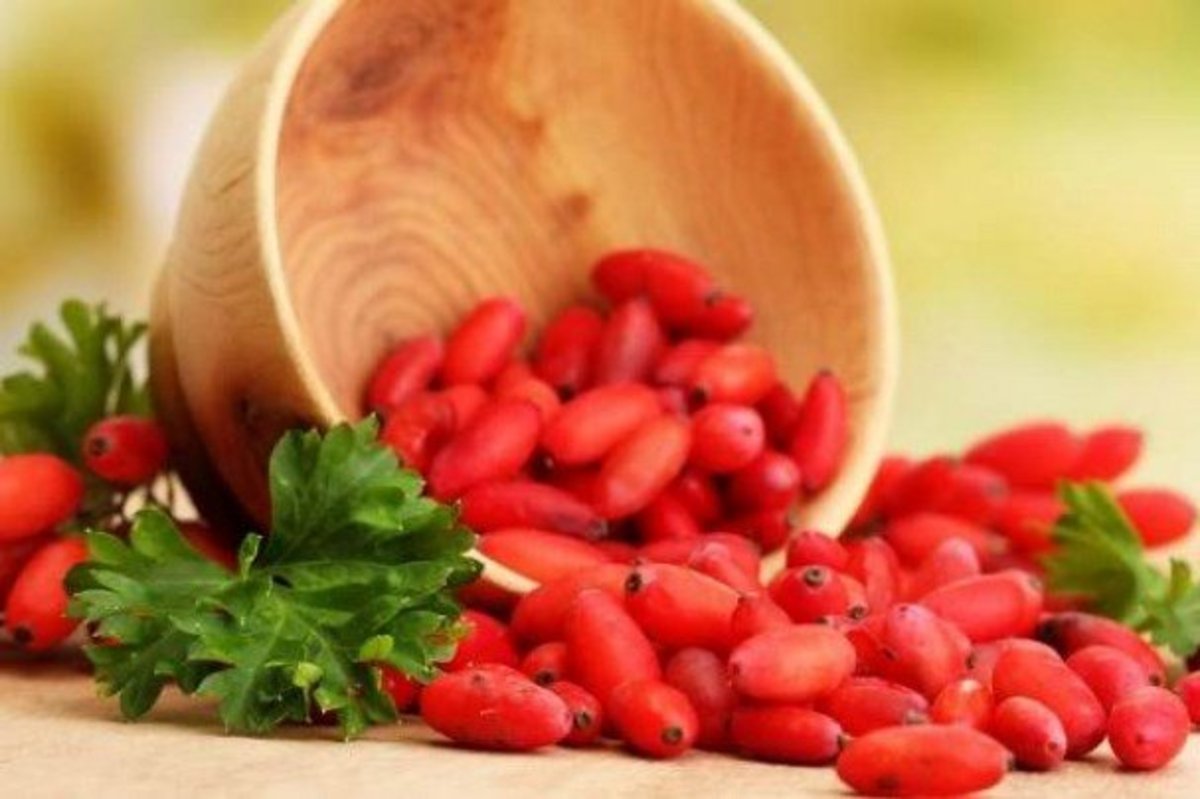 ترکیب طبیعی بربرین راهکاری برای درمان ام اس