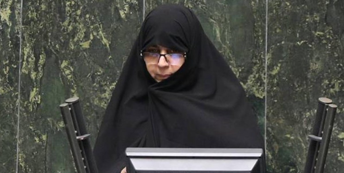 عضو کمیسیون اجتماعی مجلس: رویکرد لایحه پیشگیری از آسیب دیدگی زنان حمایتی است