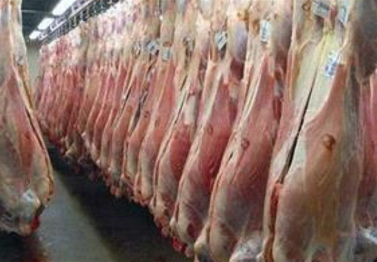جهاد کشاورزی: قیمت گوشت قرمز رو به کاهش است