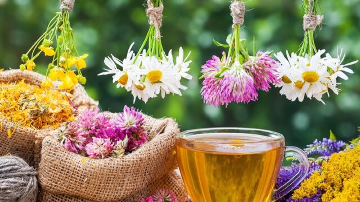 چگونه بدون مصرف دارو با آنفولانزا مقابله کنیم؟