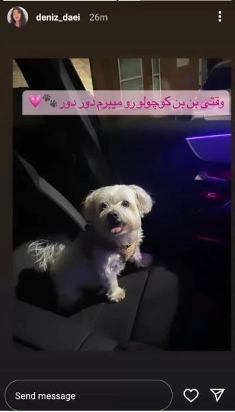 عکس/ آپشن آنچنانی دنیز دایی برای حیوان خانگی عجیب اش