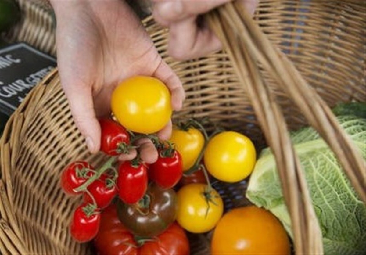 پیش بینی سازمان تجارت جهانی درباره افزایش قیمت مواد غذایی