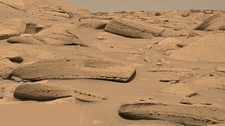 استخوان‌های اژد‌ها در مریخ کشف شدند