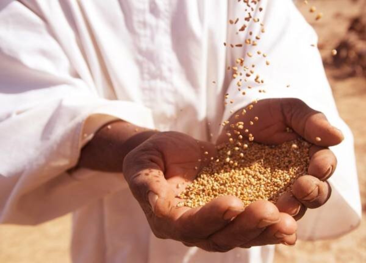 نیمی از زکات استان بوشهر صرف آزادی زندانیان می‌شود