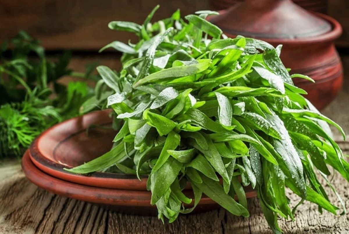 نیروی مخدر ترخون