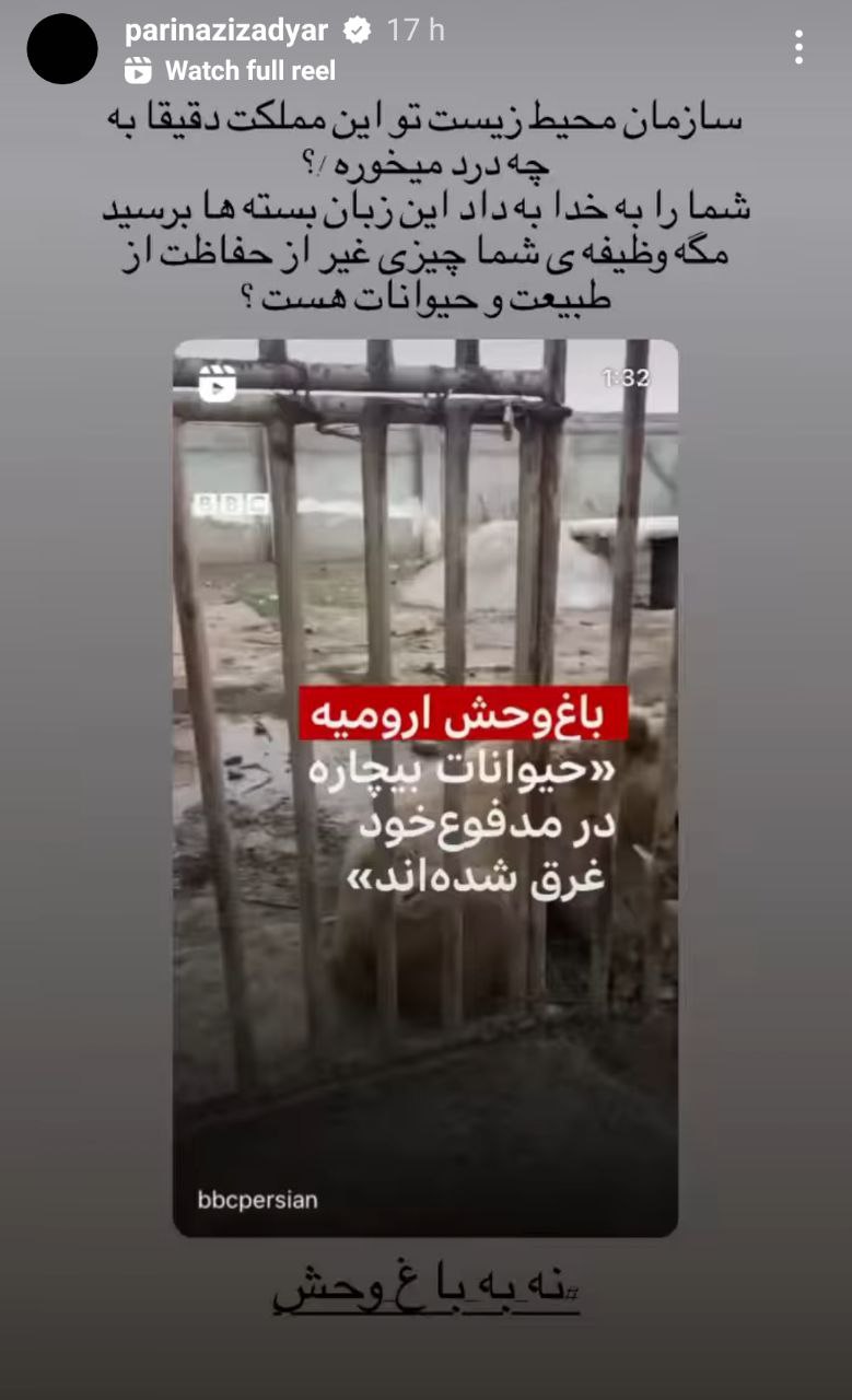پریناز ایزدیار هر چه فریاد داشت سر سازمان محیط زیست خالی کرد + عکس