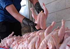 فروش ۶۱ تا ۶۳ هزار تومانی مرغ در اولین روز ماه مبارک رمضان