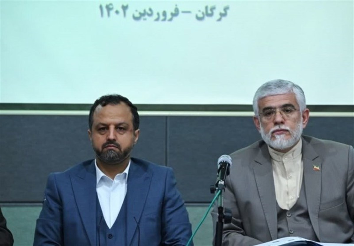 وزیر اقتصاد: برخی مسئولان برای اجرای قانون مولدسازی مقاومت می‌کنند/ این طرح به نفع مردم و کشور است
