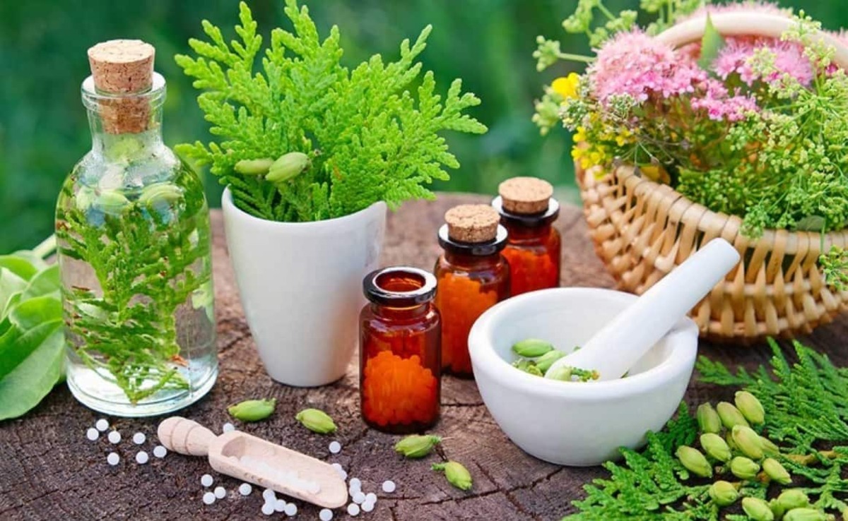 معرفی ۷ گیاه برای درمان شوره پوست سر