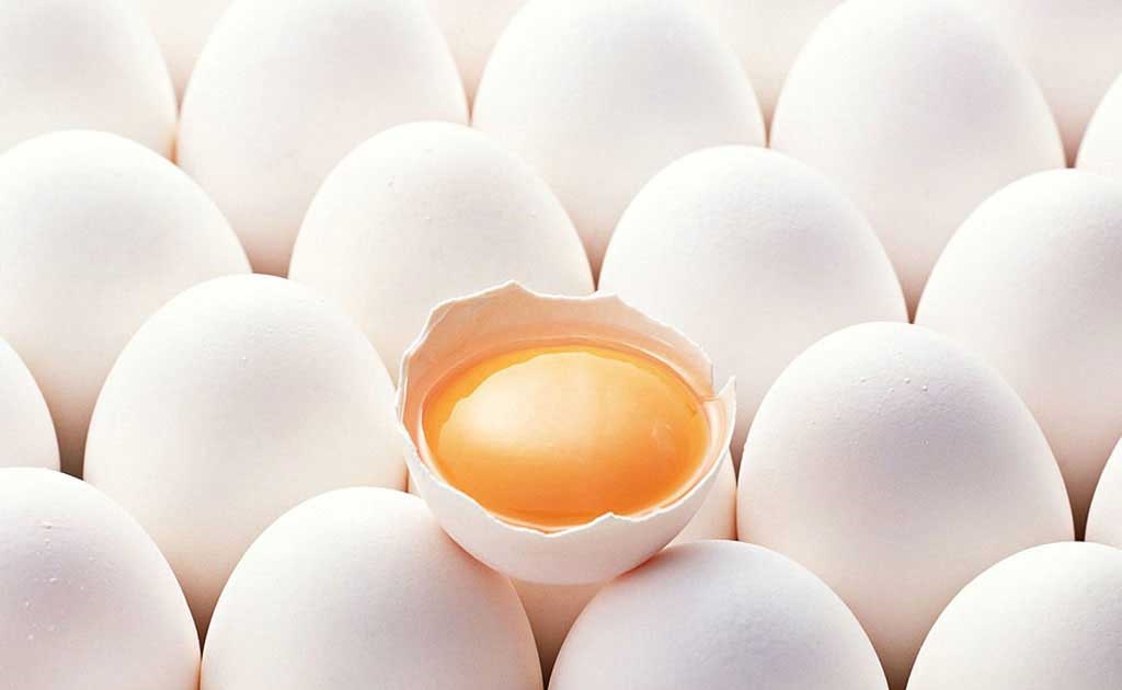 فواید معجزه آسای تخم‌مرغ که شاید نمی‌دانید