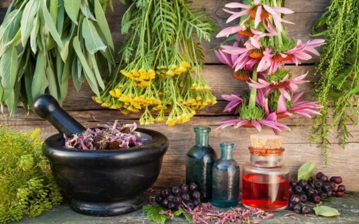 افزایش ۲ برابری سطح زیر کشت زیره در همدان