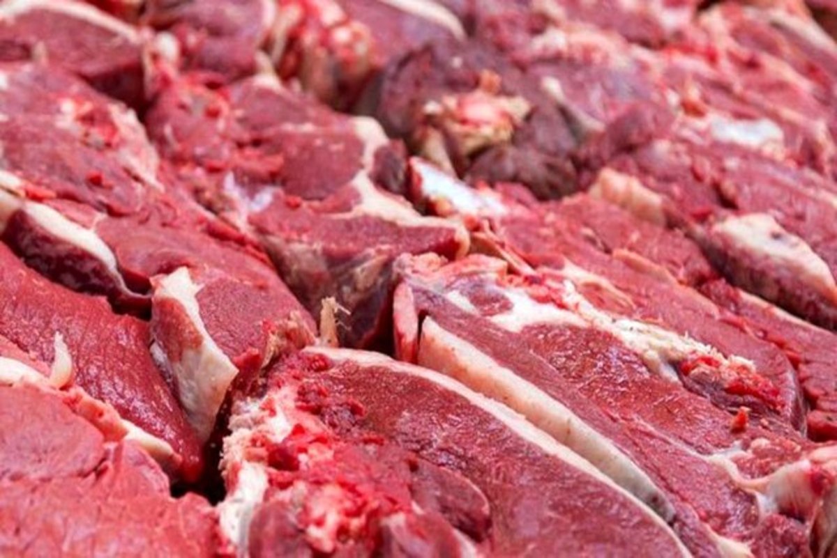 آغاز توزیع گوشت قرمز با قیمت مصوب در فارس