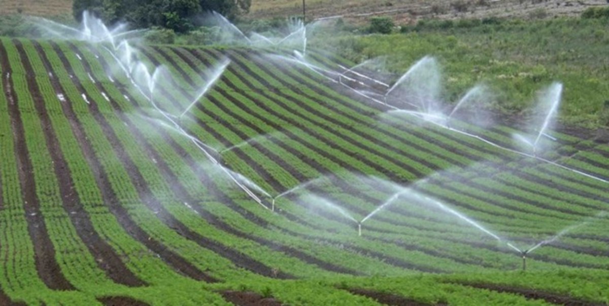 اجرای هوشمند سازی آبیاری در ۲۰۰ هکتار از اراضی همدان