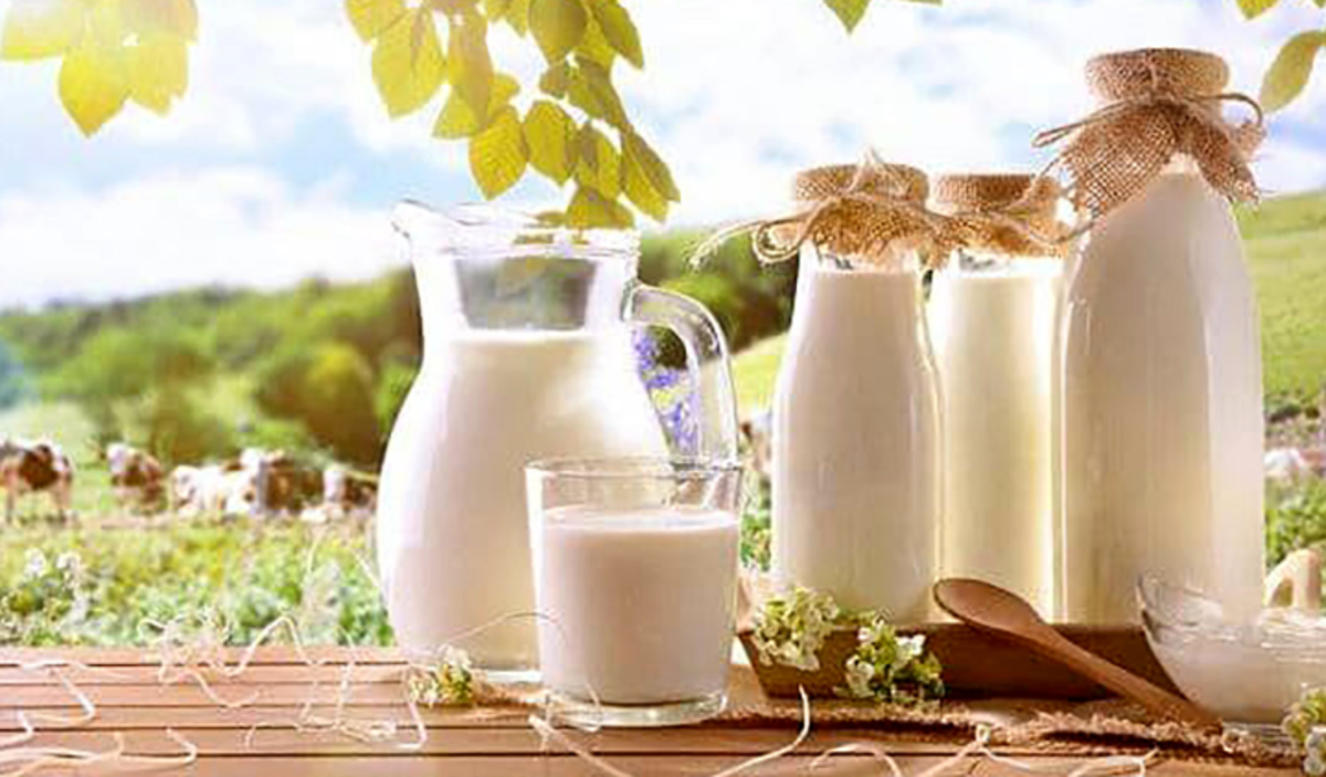 در چه زمان‌هایی شیر بخوریم؟