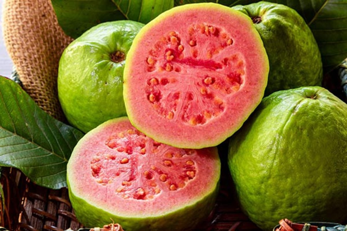 آشنایی با ۸ خاصیت جادویی و اعجاب انگیز میوه‌ی گرمسیری گواوا برای سلامتی بدن