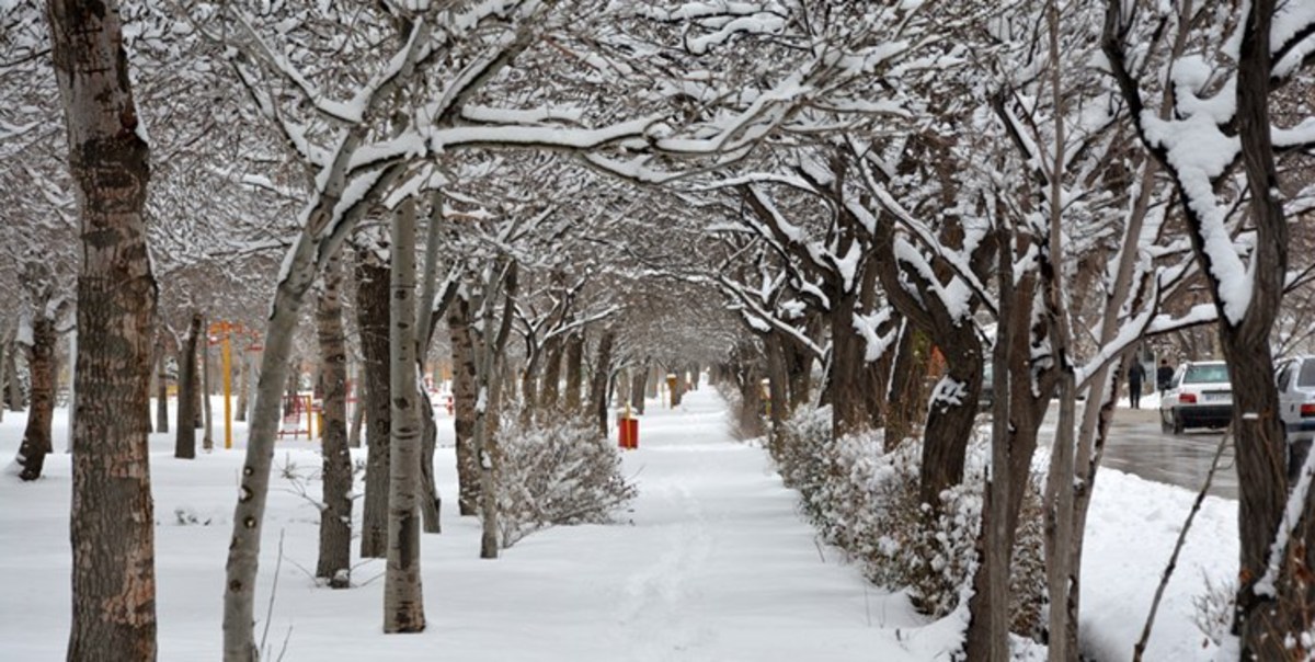 برف و سرما اردبیل را فرا می‌گیرد