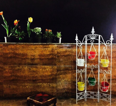 5 5