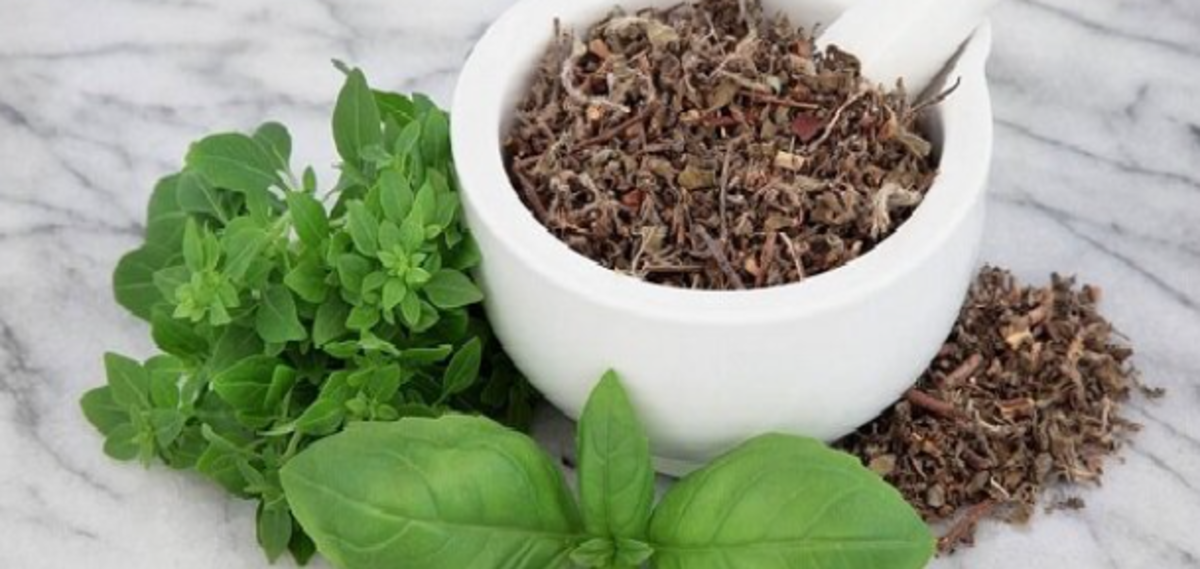 مصرف روزانه برگ تولسی چه خواصی برای بدن دارد؟