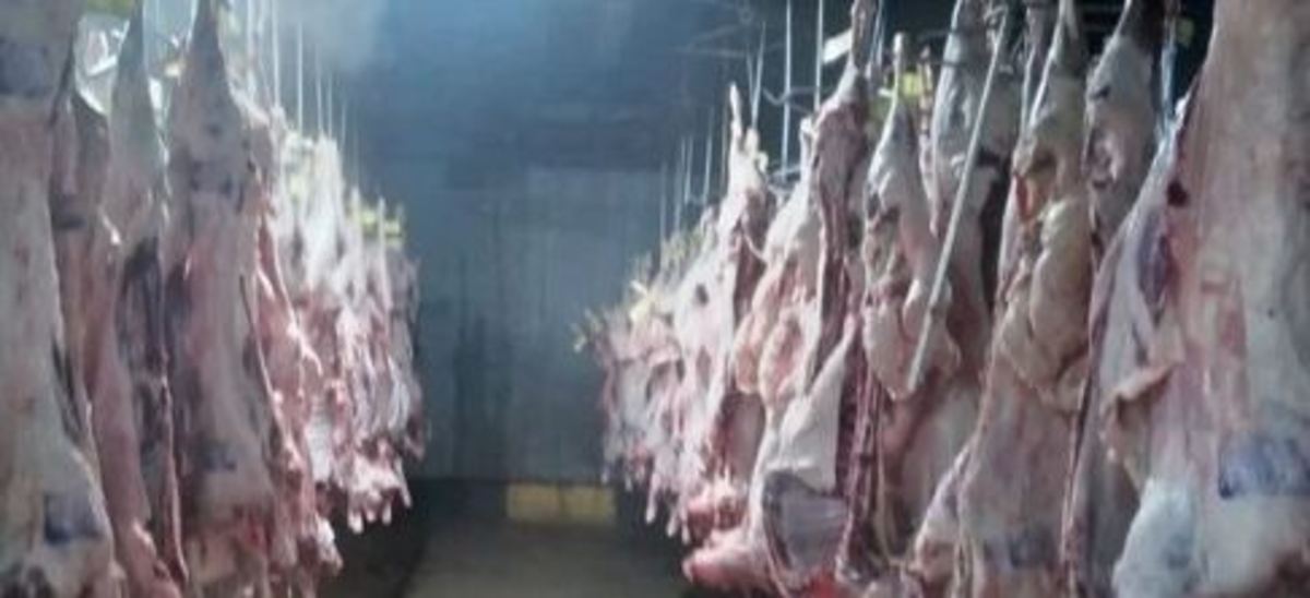 سردخانه احتکار گوشت و مرغ در اصفهان لو رفت
