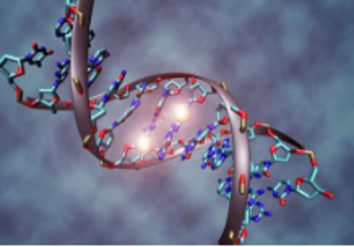 آشنایی با نانوساختار DNA