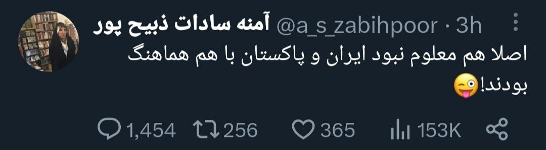 خانم خبرنگار این چه توئیتی بود که زدی؟!