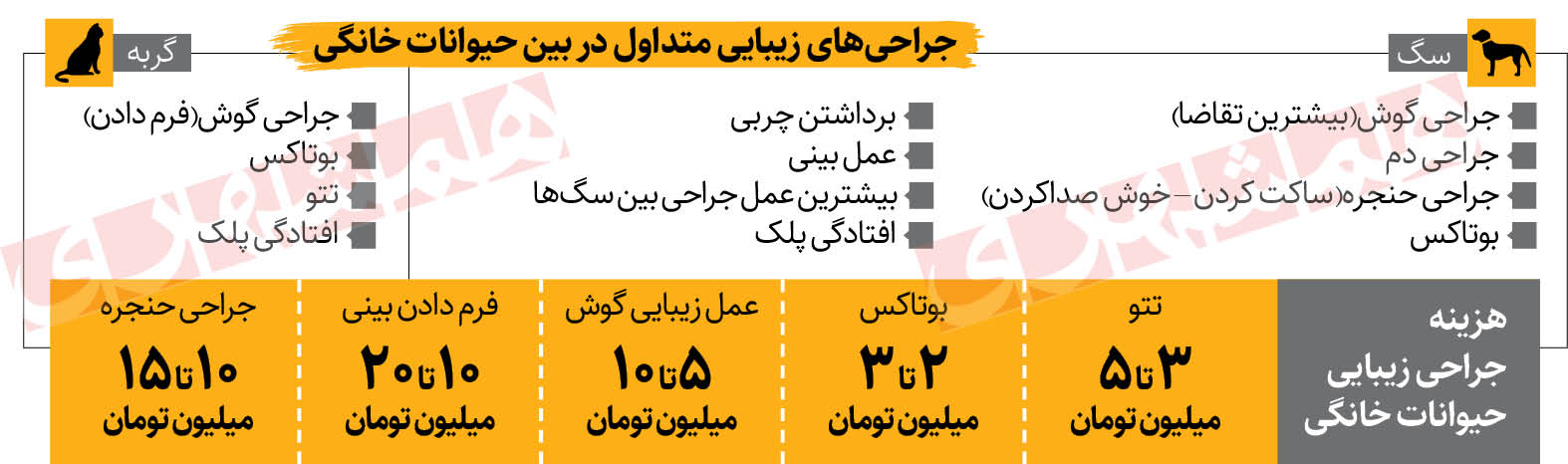 حیوانات خانگی به نوبت جراحی زیبایی کلینیک‌ها رسیدند