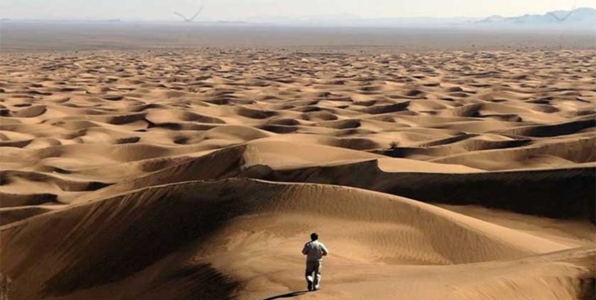 بلیت بیابان جهانی لوت در دست گردشگران ژاپنی