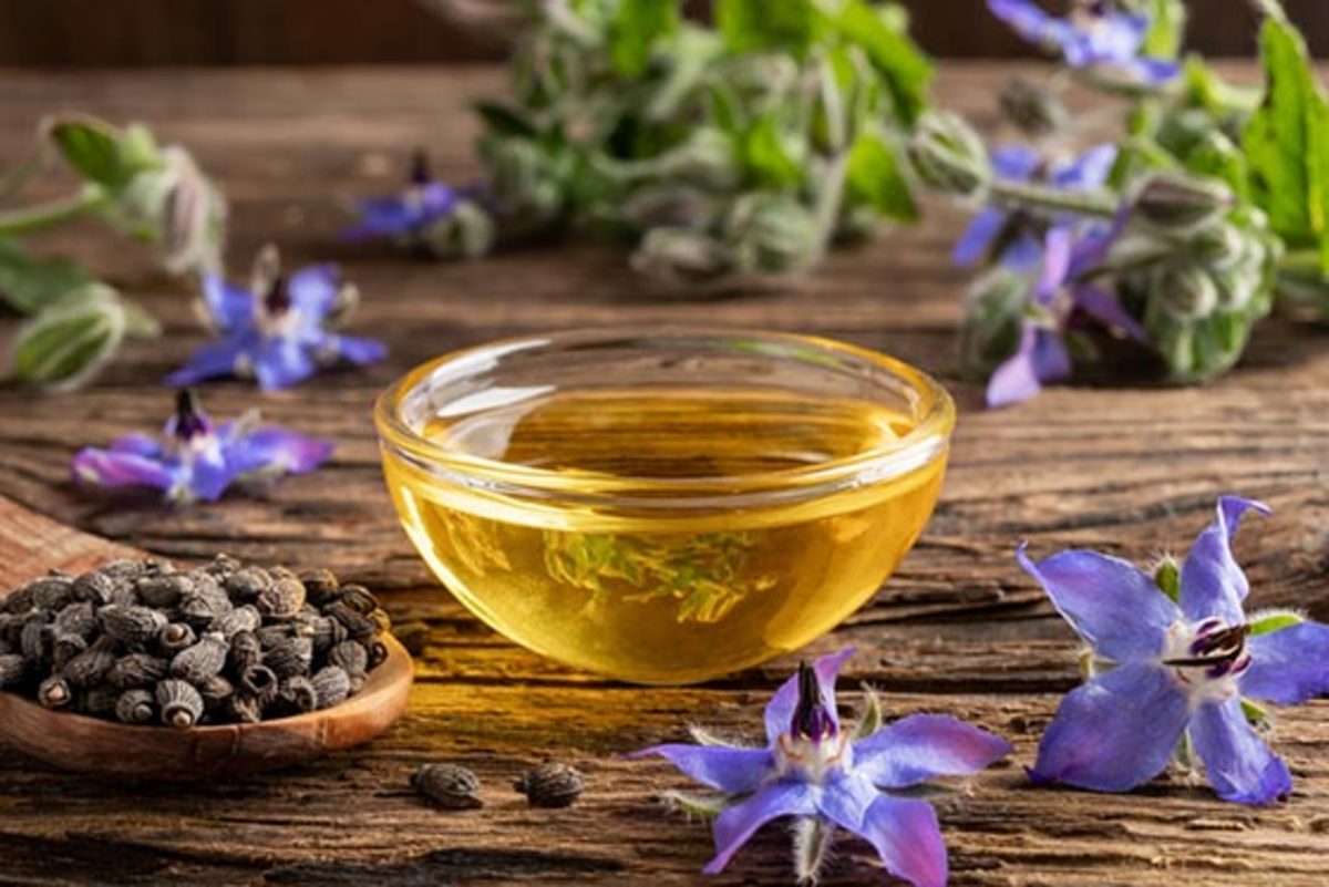 ۳ خاصیت معجزه آسا گل گاوزبان اروپایی برای سلامتی که شاید نمی‌دانید