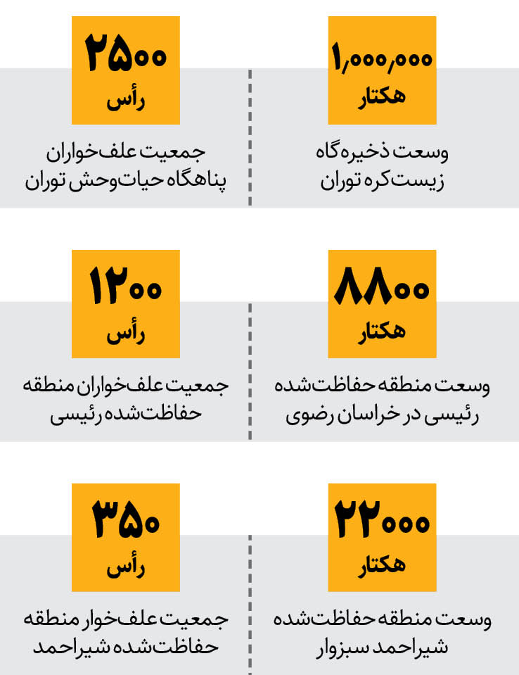 سفره خالی برای پذیرایی از یوز ایرانی