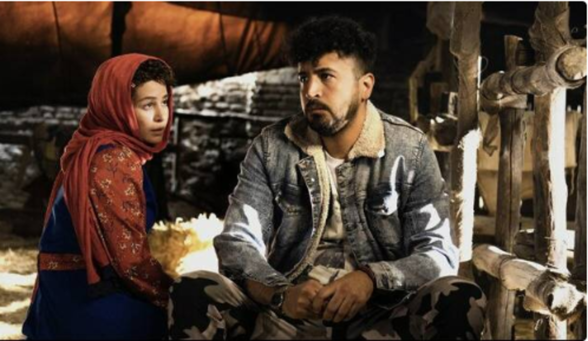 در مورد فیلم سینمایی «شه‌سوار»