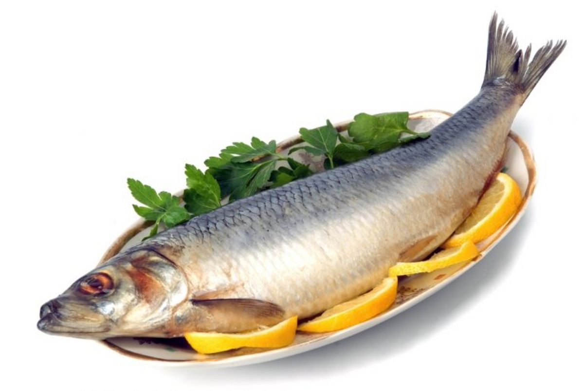 برای افزایش شیر در دوران شیردهی از خوردن این مواد غذایی غافل نشوید