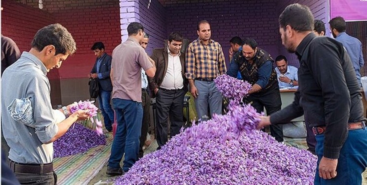 لزوم عرضه زعفران در بورس کالا