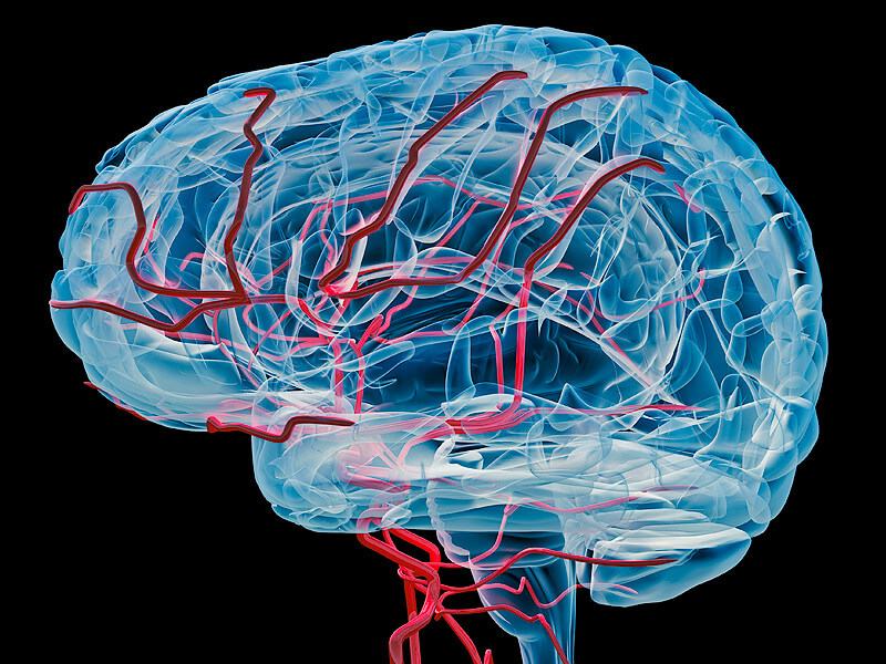 چند چیز که منجر به آسیب به مغز میشوند