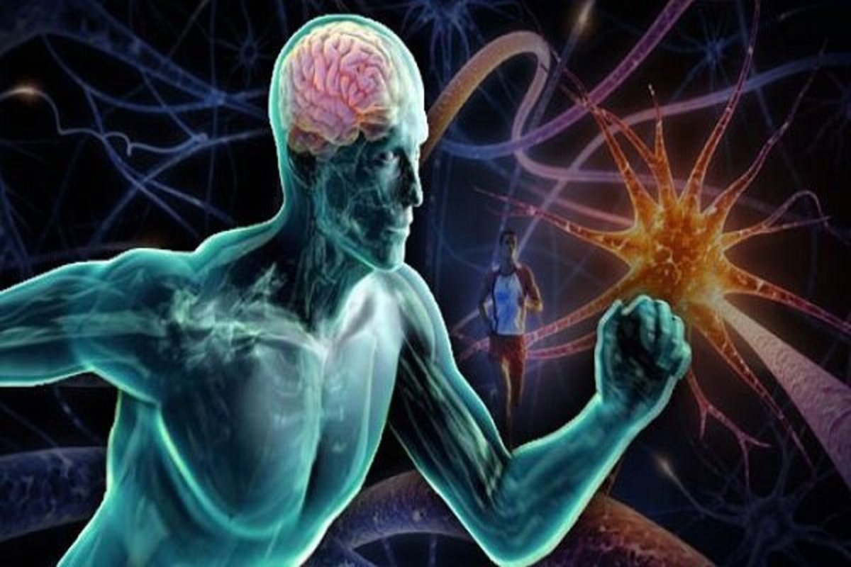 حفظ سلامت مغز با فعالیت بدنی و ورزش